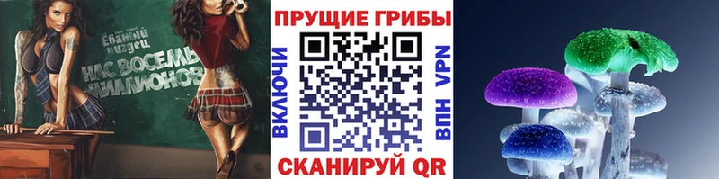 KRAKEN ТОР  Верхний Уфалей  Галлюциногенные грибы мухоморы 